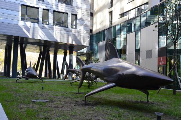 Michal Gabriel - Three bronze sharks - sharks in place